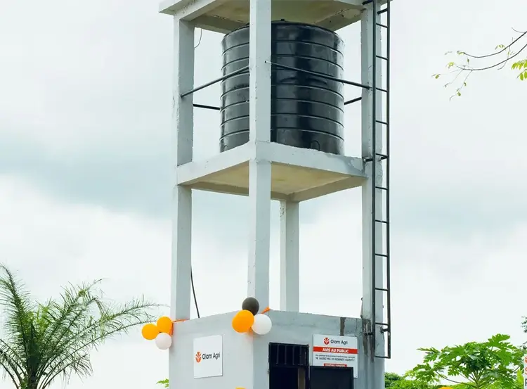 Commissioning of Solar-Powered Borehole for Babenga Community in Cameroon