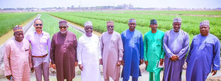 Nigeria’s Federal Government Praises Strong Investment