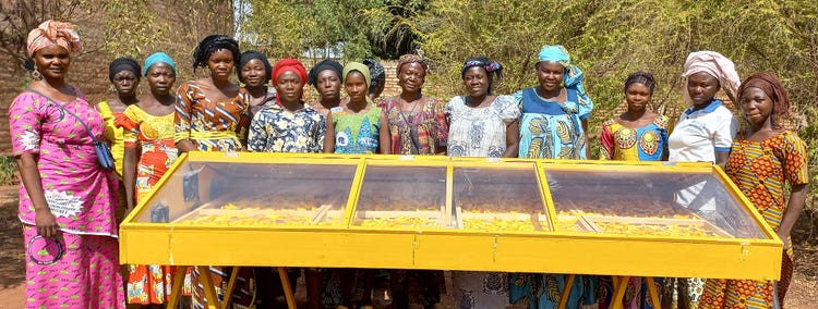 In Chad, the Mango Drier Project offered women additional income and greater food security