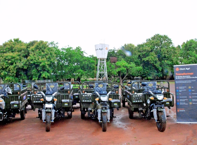 Launching Biochar Production in Côte d’Ivoire to Boost Climate Resilience