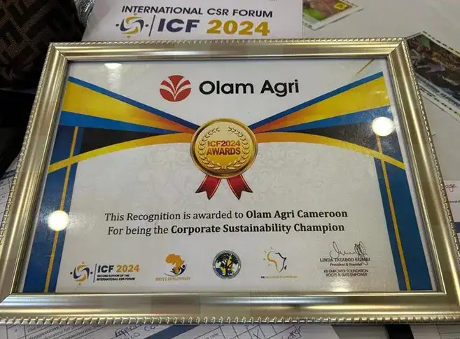 Corporate Sustainability Champion at the 2024