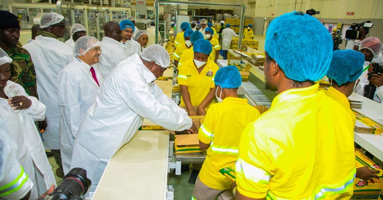 pasta manufacturing facility