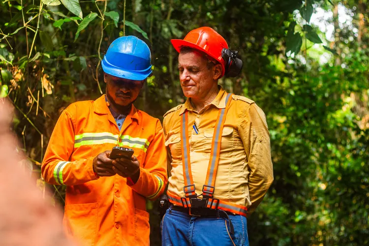 Digital Forestry Solution