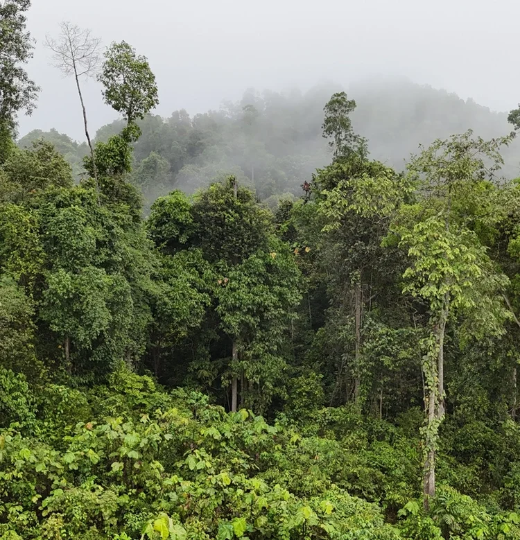 Protecting the Environment