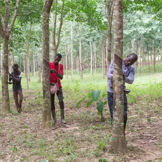 Committed to Growing Responsibly