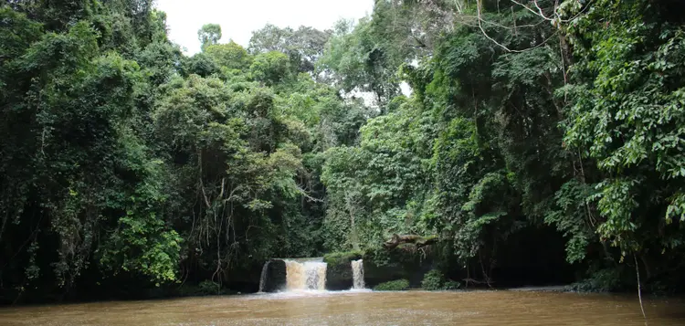 Protecting the Environment &amp; Empowering Communities