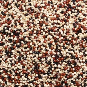 Tricolour Quinoa
