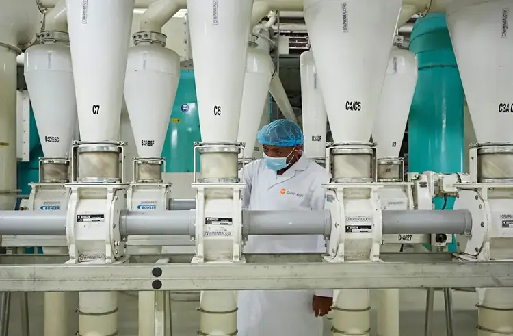 New Fortification Facilities