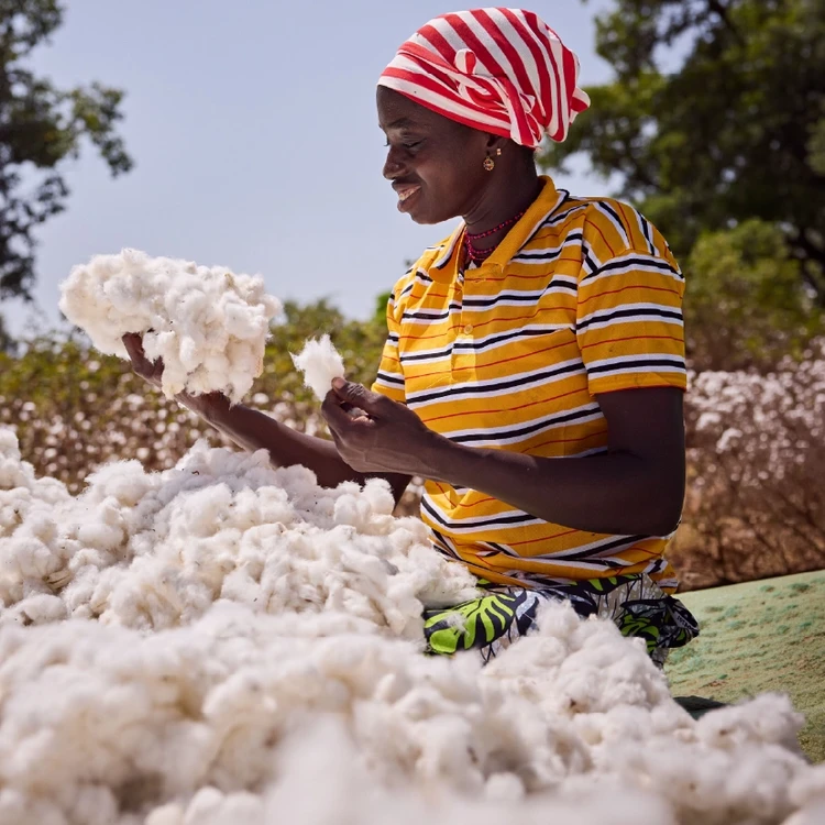 woman in cotton field