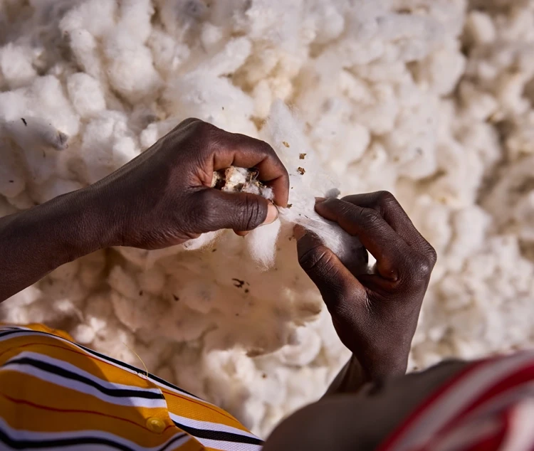 cotton