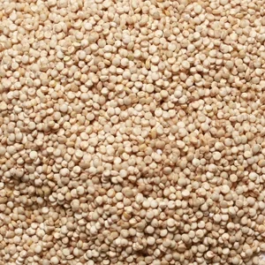 White Quinoa