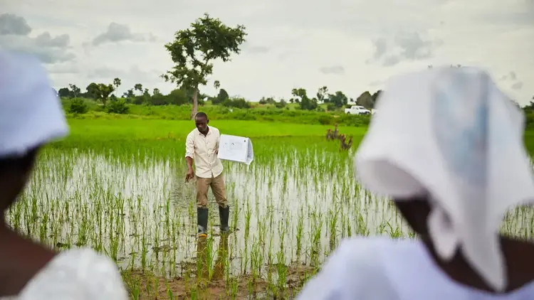 Collaboration with Communities