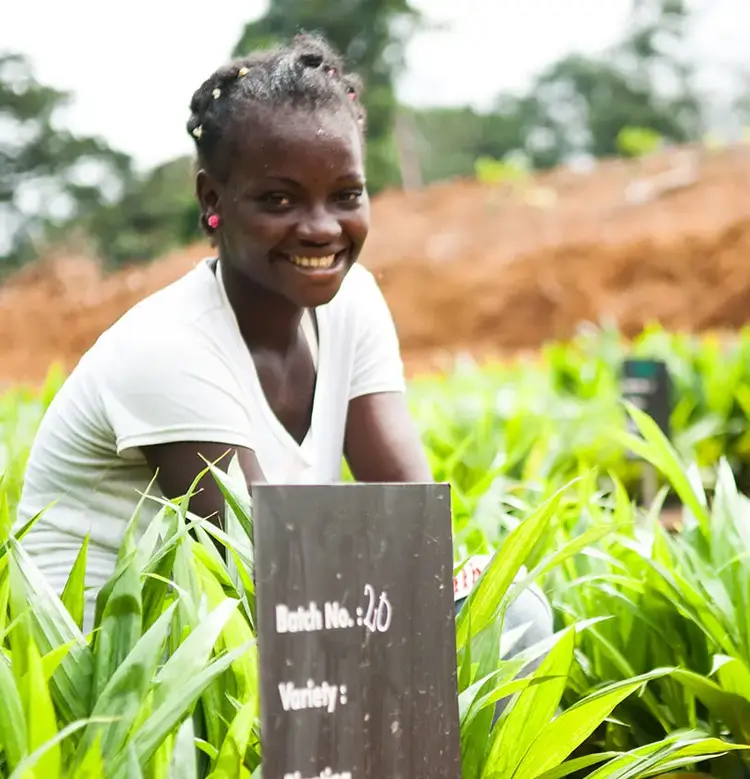 Sustainable Palm Oil Commitments