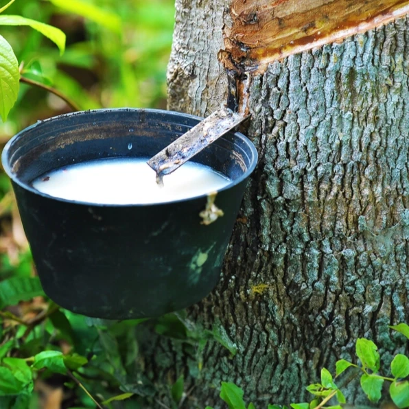 Natural Rubber & Crumb Rubber | Olam Agri