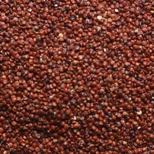 Red Quinoa