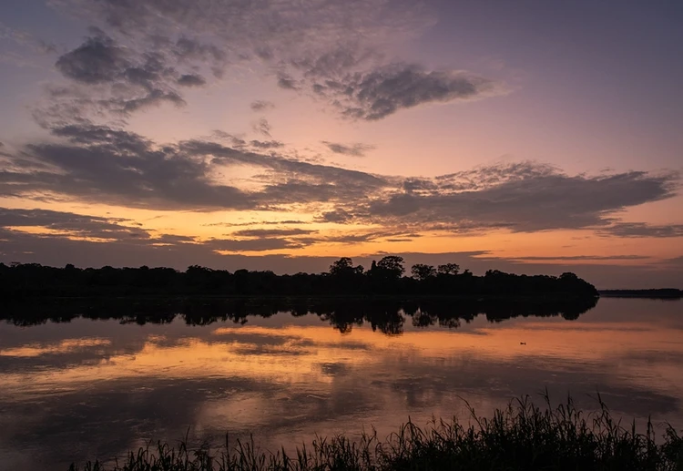 Buy Verified Carbon units