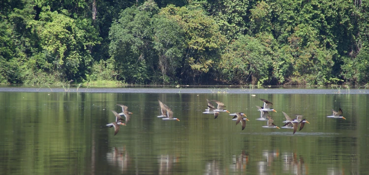 Our Policies &amp; Procedures