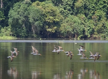 Our Policies &amp; Procedures