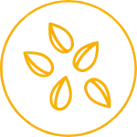 Grains for Good