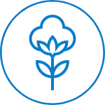 Sustainable &amp; Regen Cotton
