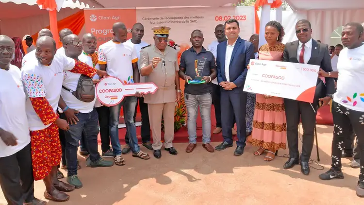 Scaling Up Mechanisation