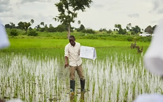 Helping Farmers Thrive