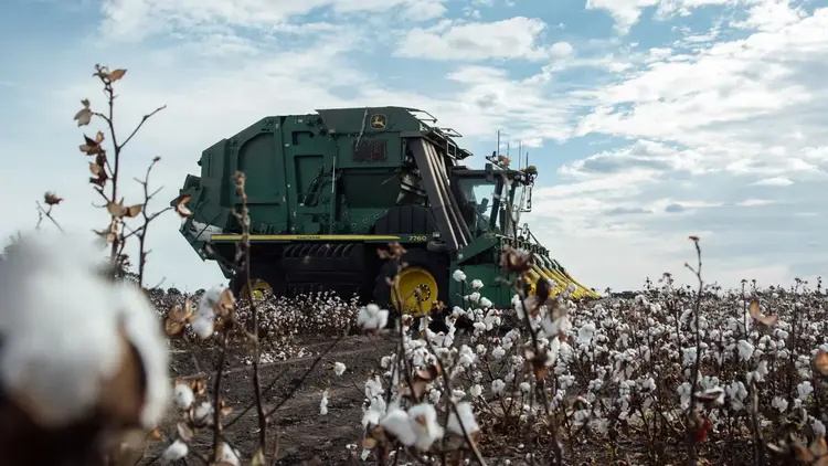 Plantation Concession &amp; Farms Code