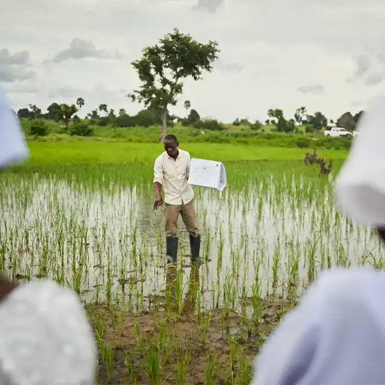 Helping Farmers Thrive