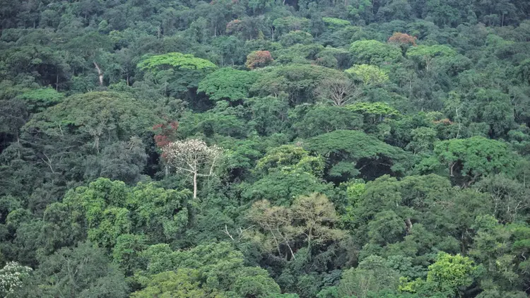 Living Landscapes Policy