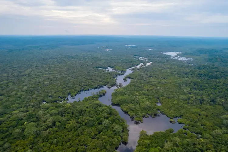 Peatland Preservation