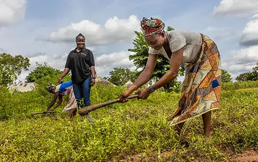 Farms &amp; Communities
