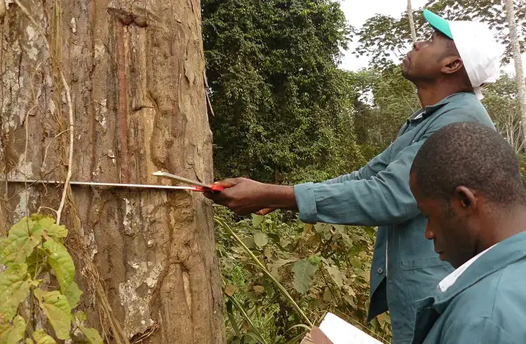 Preserving Landscapes