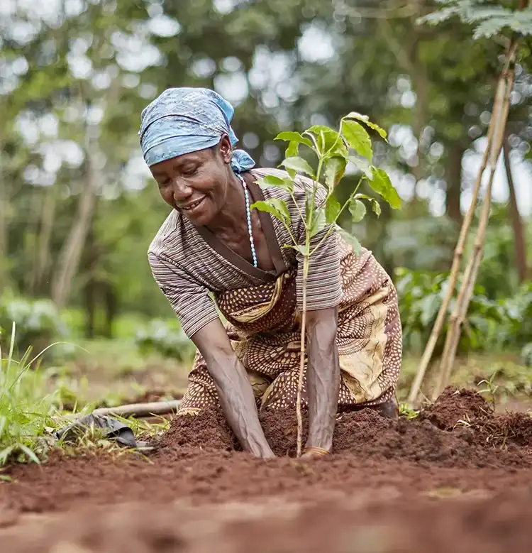 Decarbonising Our Business