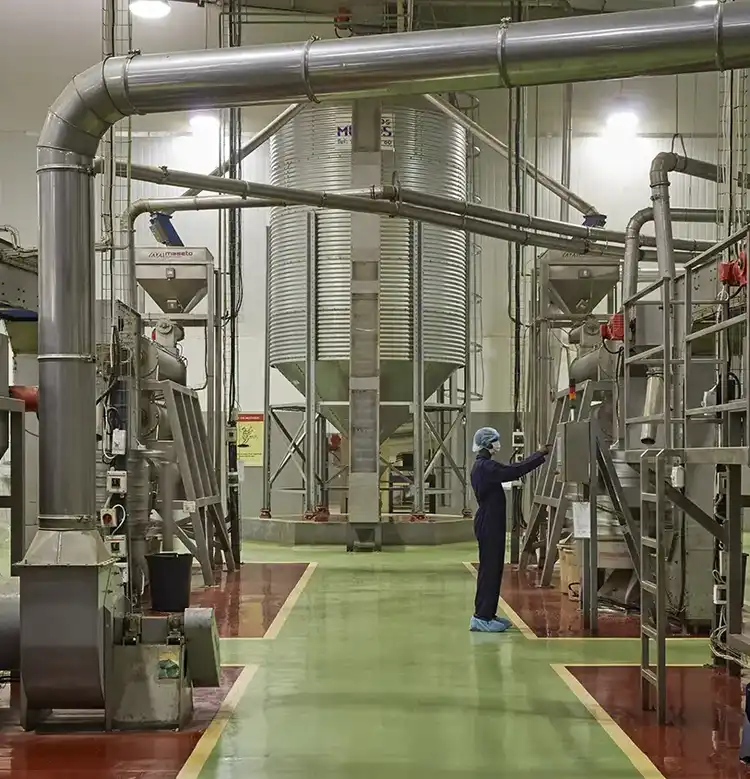 Optimising Water Use in Our Facilities